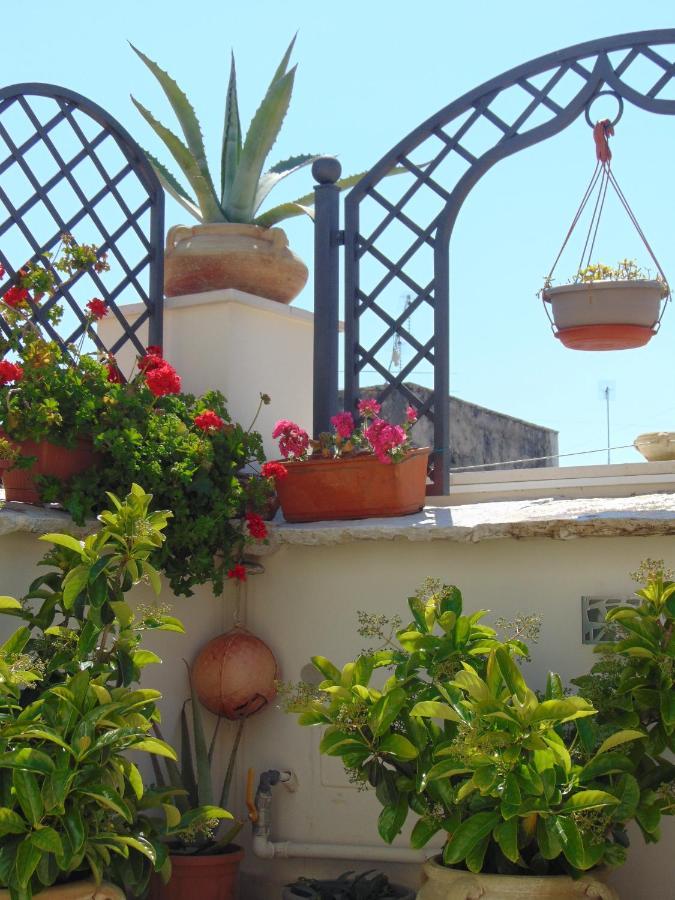 טרני 3 Archi B&B מראה חיצוני תמונה